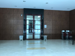 The Trevose (D11), Condominium #195839132